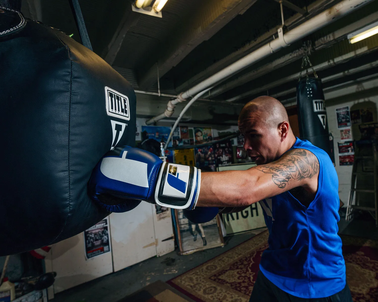 Fighting Big Logo Bag Gloves