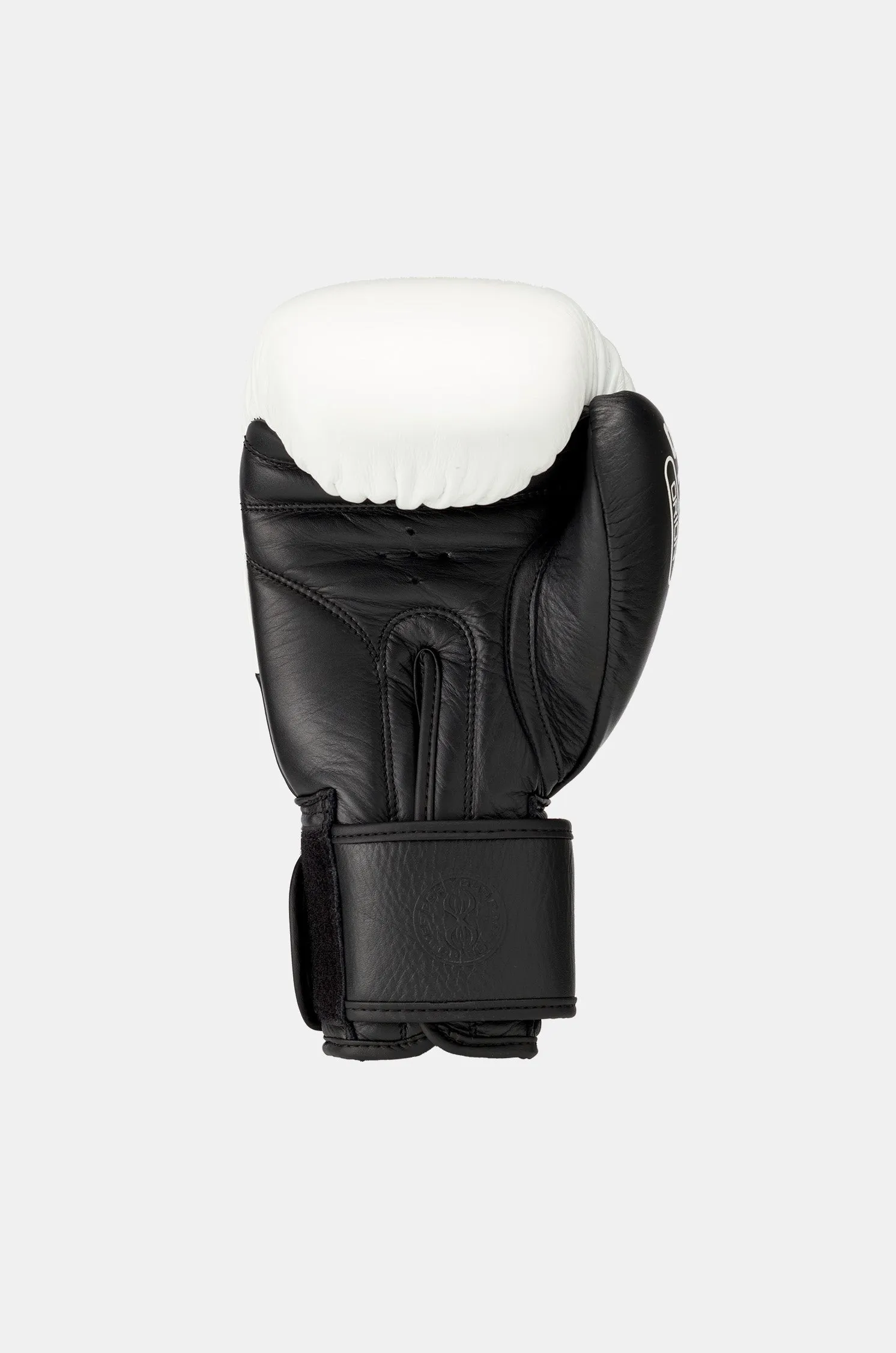 Orion Boxing Gloves