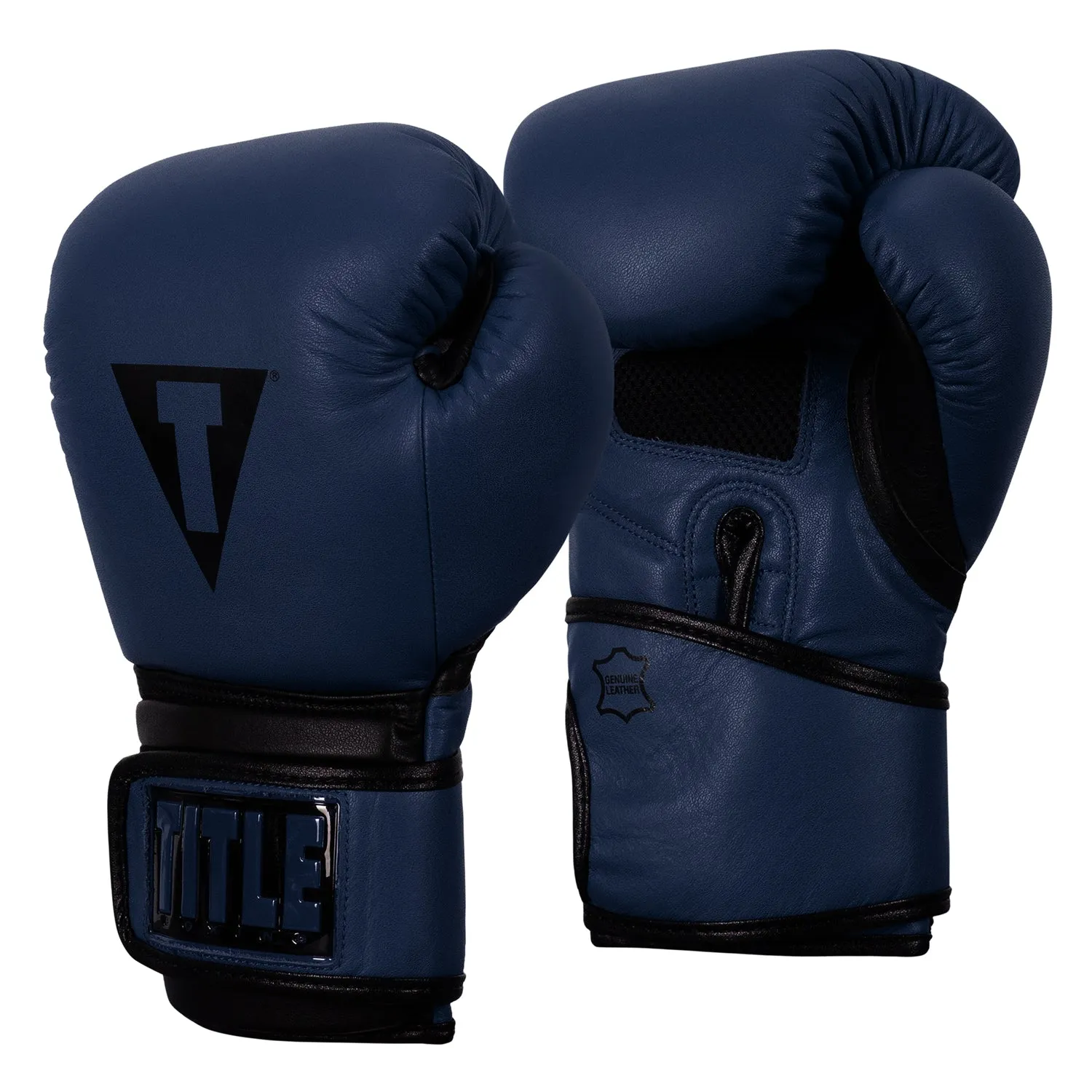 TITLE Boxing Dauntless Training Gloves