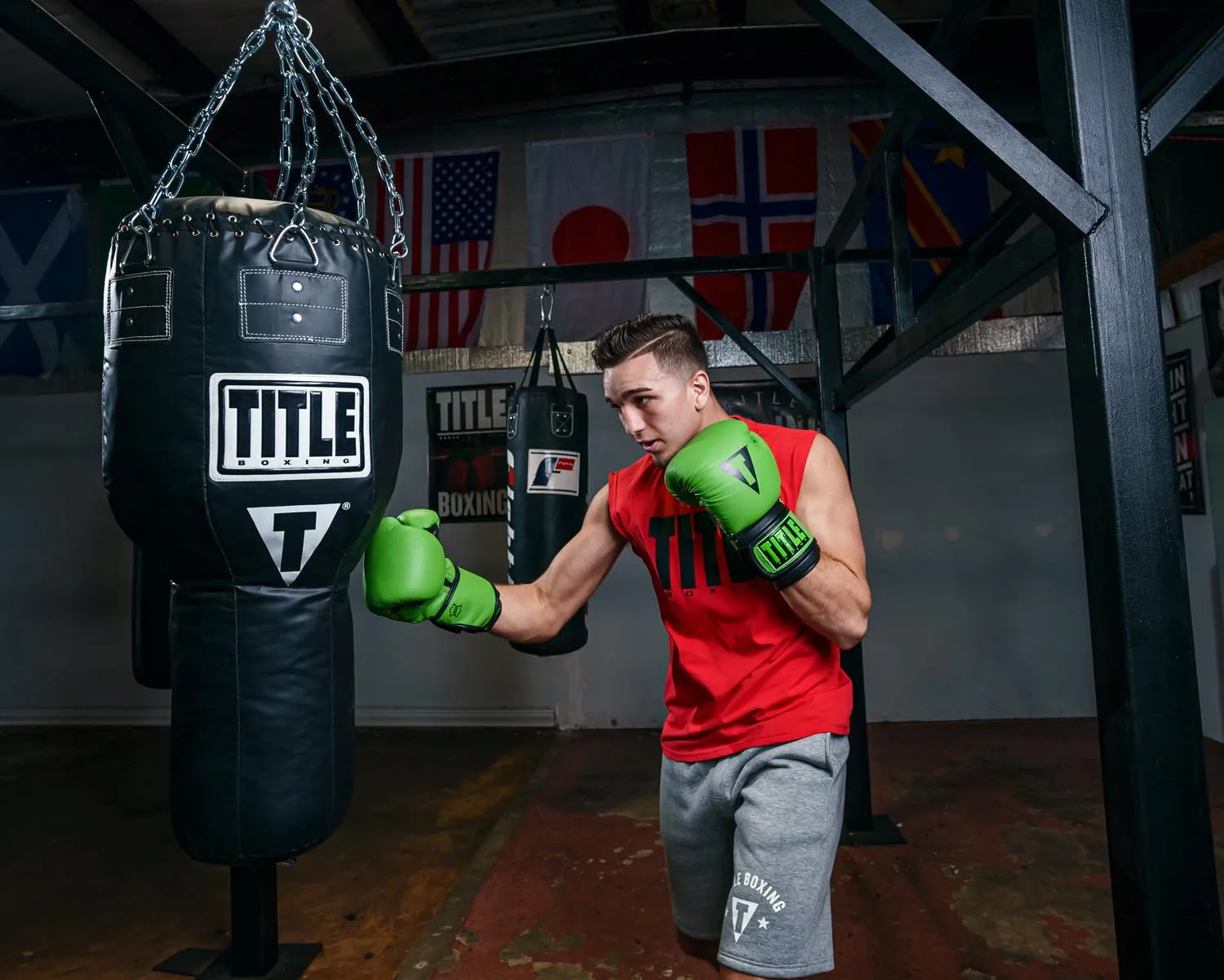 TITLE Boxing Dauntless Training Gloves