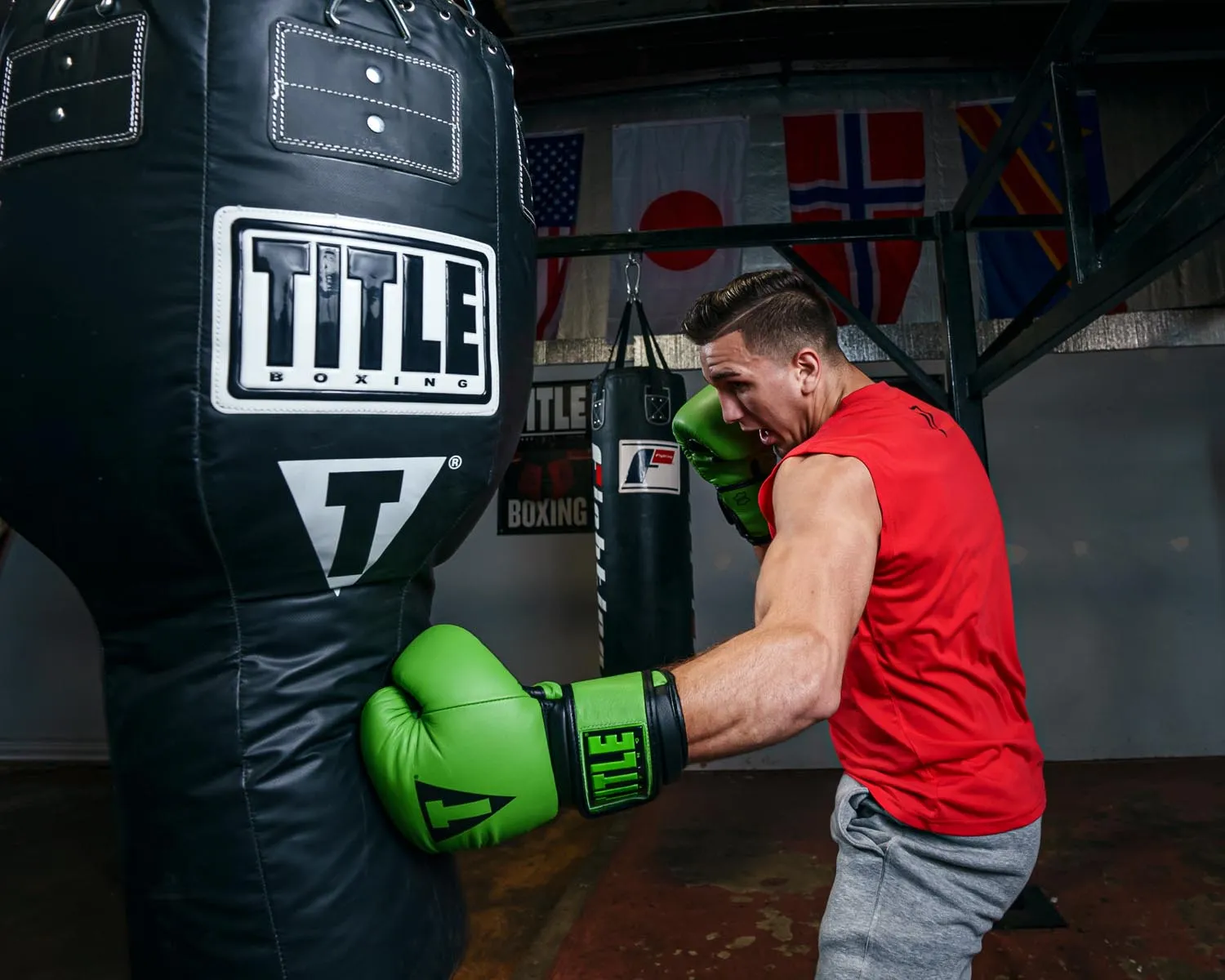 TITLE Boxing Dauntless Training Gloves