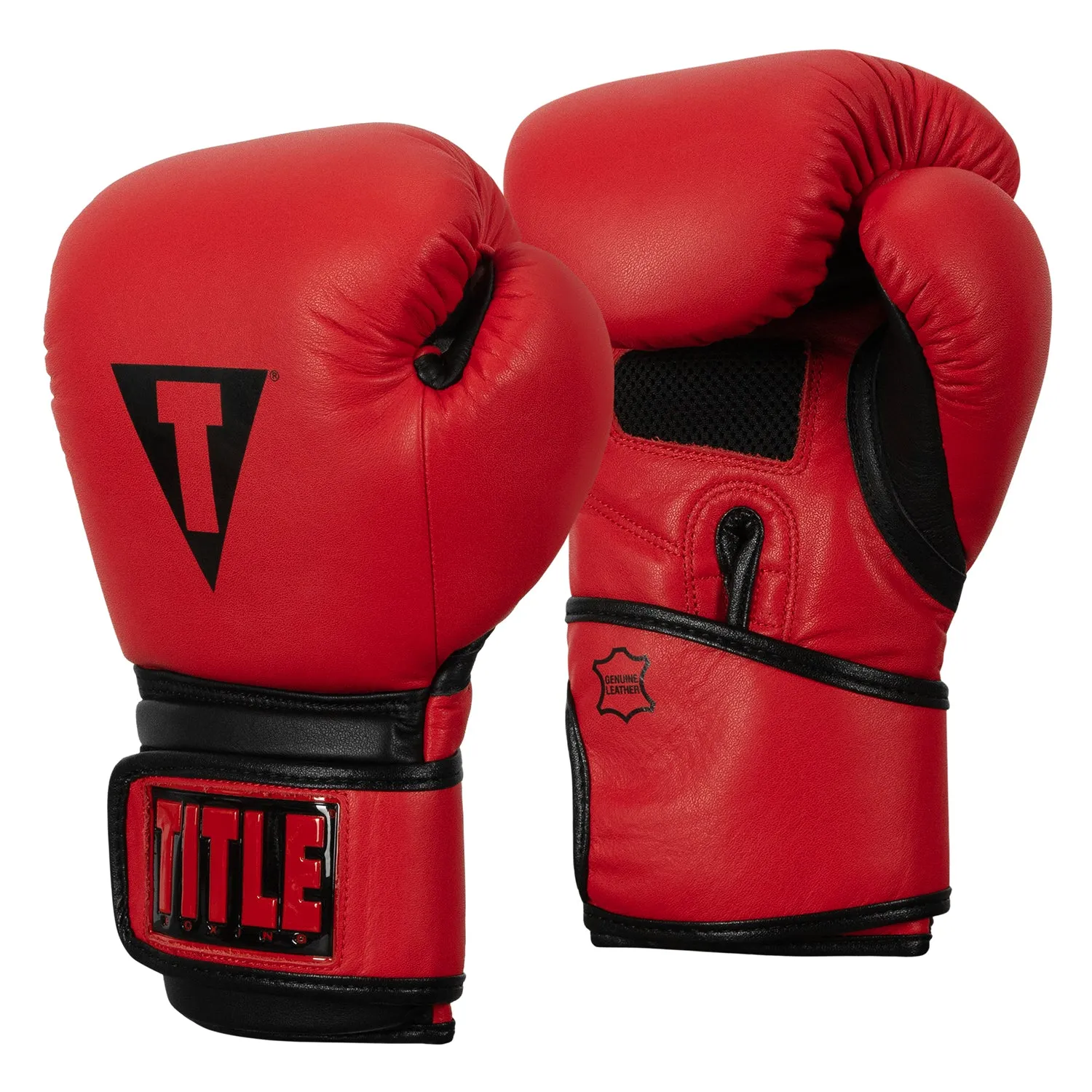 TITLE Boxing Dauntless Training Gloves