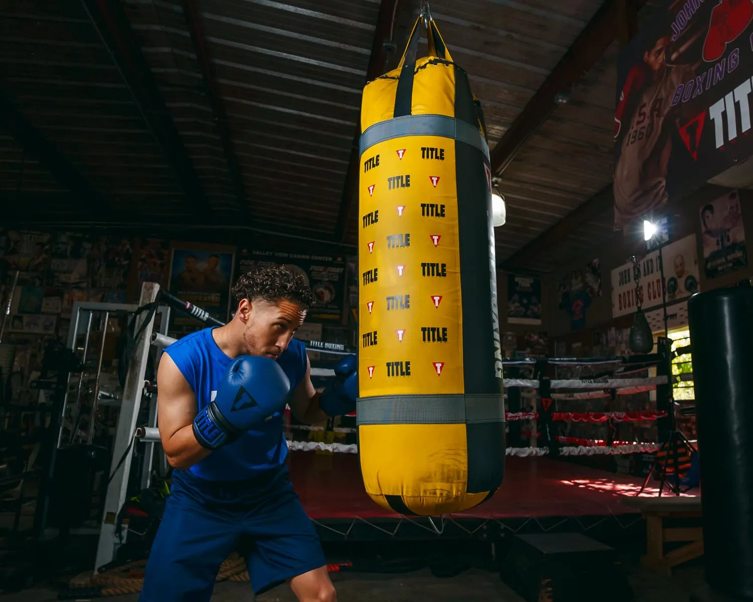 TITLE Boxing Dauntless Training Gloves