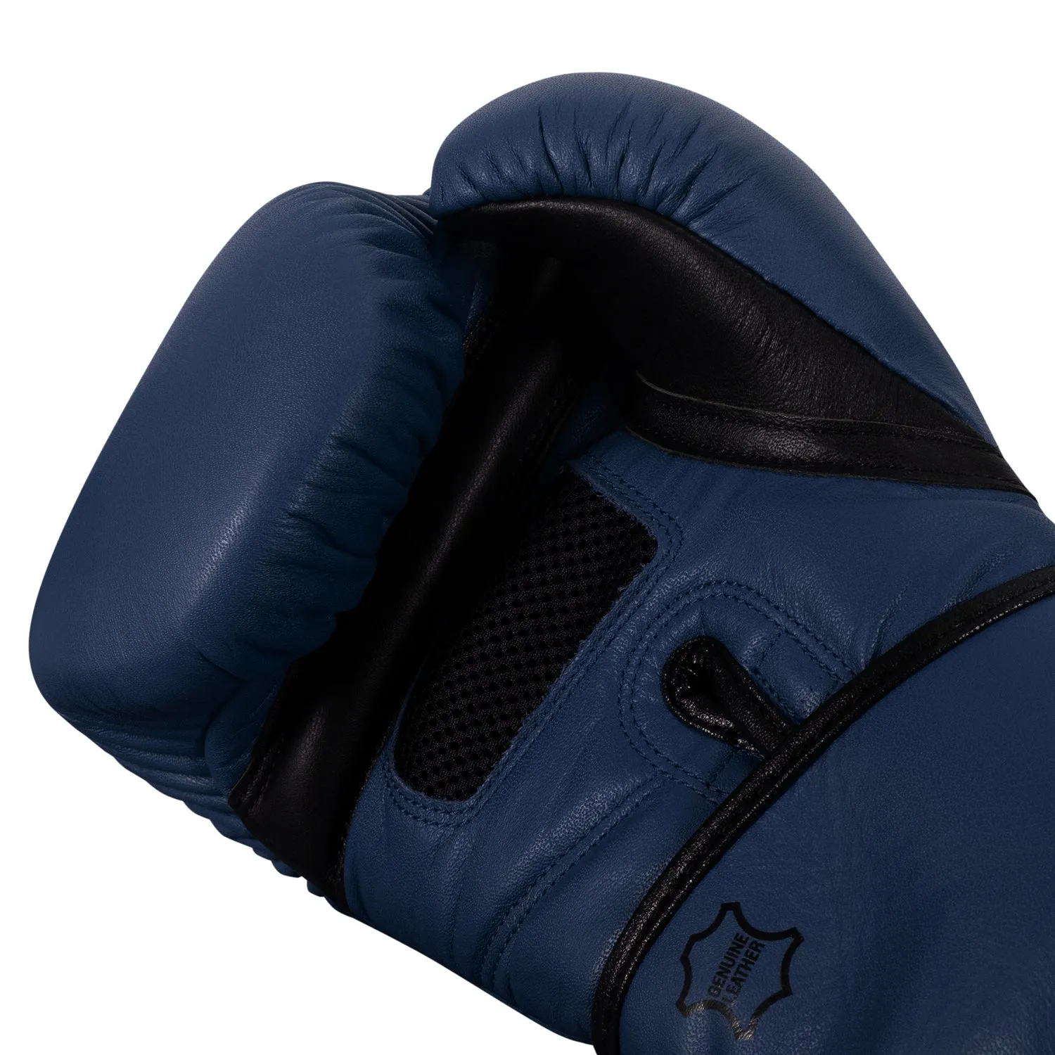 TITLE Boxing Dauntless Training Gloves