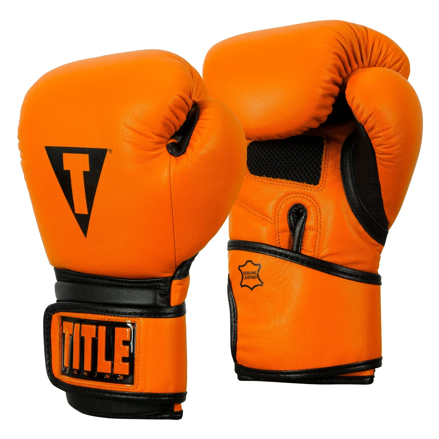 TITLE Boxing Dauntless Training Gloves