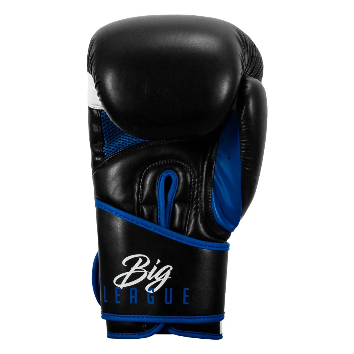 TITLE Boxing Leather Big League Training Gloves